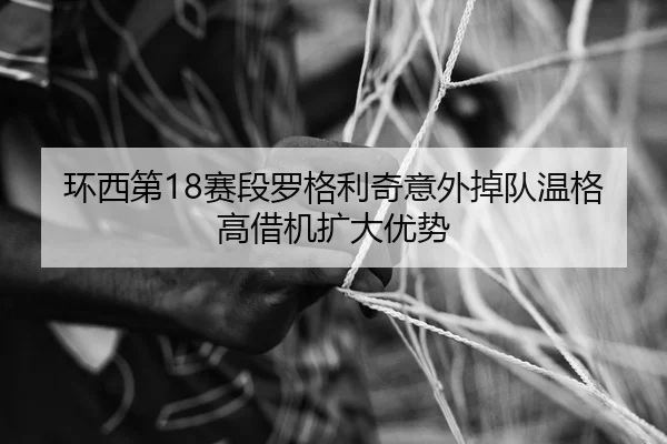 huan-xi-di-sai-duan-luo-ge-li-qi-yi-wai-diao-dui-wen-ge-gao-jie-ji-kuo-da-you-shi-2-461.jpg