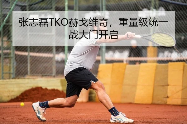 张志磊TKO赫戈维奇，重量级统一战大门开启
